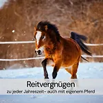 Tatil Evi Tinyhousebeidresden Mit Fasssauna Unser Groesstes Winziges Haeuschen Fuer Bis Zu 7 Personen, Kaminofen, Grosse Terrasse - Naehe Saechsische Schweiz - Von Juni - September Mindestmietzeit 1 Woche Sa-sa