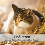 Tinyhousebeidresden Mit Fasssauna Unser Groesstes Winziges Haeuschen Fuer Bis Zu 7 Personen, Kaminofen, Grosse Terrasse - Naehe Saechsische Schweiz - Von Juni - September Mindestmietzeit 1 Woche Sa-sa Tatil Evi *