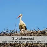 Tinyhousebeidresden Mit Fasssauna Unser Groesstes Winziges Haeuschen Fuer Bis Zu 7 Personen, Kaminofen, Grosse Terrasse - Naehe Saechsische Schweiz - Von Juni - September Mindestmietzeit 1 Woche Sa-sa בית נופש *
