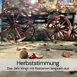 Tinyhousebeidresden Mit Fasssauna Unser Groesstes Winziges Haeuschen Fuer Bis Zu 7 Personen, Kaminofen, Grosse Terrasse - Naehe Saechsische Schweiz - Von Juni - September Mindestmietzeit 1 Woche Sa-sa Tatil Evi