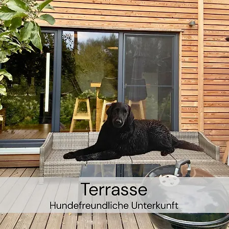 Tinyhousebeidresden Mit Fasssauna Unser Groesstes Winziges Haeuschen Fuer Bis Zu 7 Personen, Kaminofen, Grosse Terrasse - Naehe Saechsische Schweiz - Von Juni - September Mindestmietzeit 1 Woche Sa-sa Tatil Evi Lauterbach (Rugen)