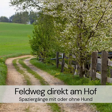 Tinyhousebeidresden Mit Fasssauna Unser Groesstes Winziges Haeuschen Fuer Bis Zu 7 Personen, Kaminofen, Grosse Terrasse - Naehe Saechsische Schweiz - Von Juni - September Mindestmietzeit 1 Woche Sa-sa *