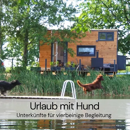 Tatil Evi Tinyhousebeidresden Mit Fasssauna Unser Groesstes Winziges Haeuschen Fuer Bis Zu 7 Personen, Kaminofen, Grosse Terrasse - Naehe Saechsische Schweiz - Von Juni - September Mindestmietzeit 1 Woche Sa-sa Lauterbach (Rugen)